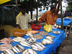 10-The fish market
